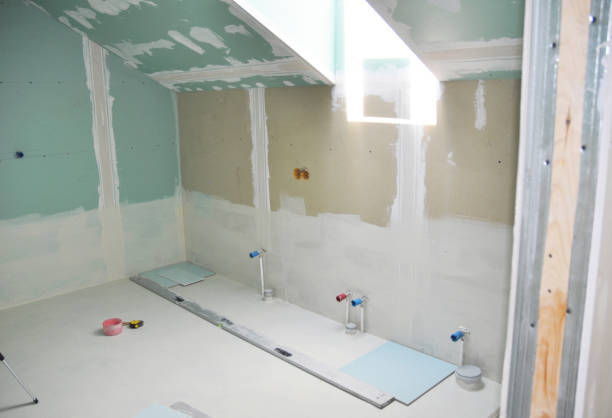 Best Basement Mold Removal  in Franklin Furnace, OH