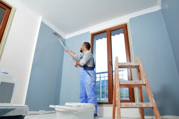 Best Mold Odor Removal Services  in Franklin Furnace, OH