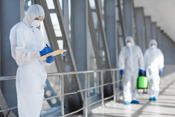 Best Emergency Mold Remediation  in Franklin Furnace, OH