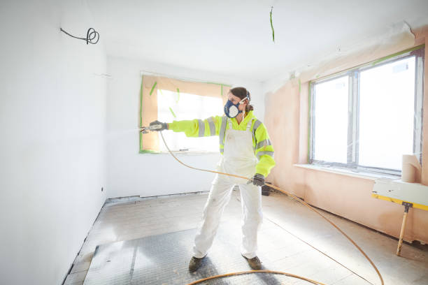 Best Basement Mold Removal  in Franklin Furnace, OH