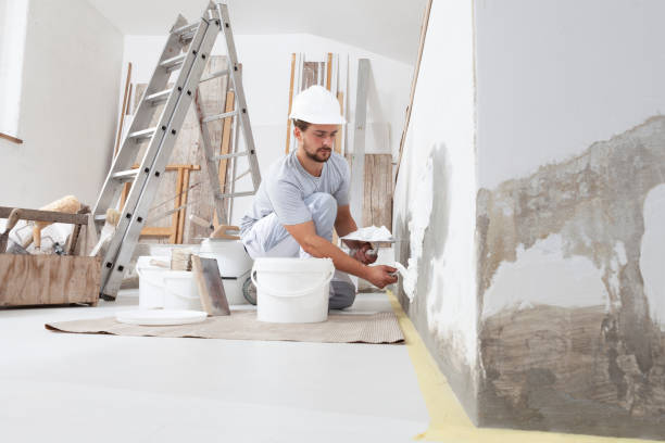 Best Airborne Mold Testing  in Franklin Furnace, OH