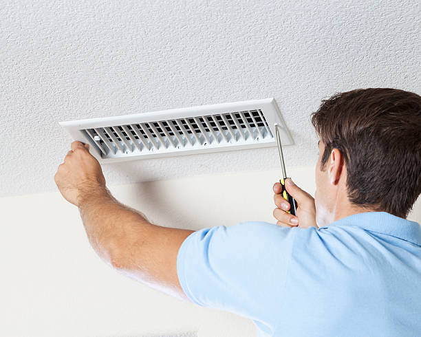 Best Mold-Related Health Consultation  in Franklin Furnace, OH