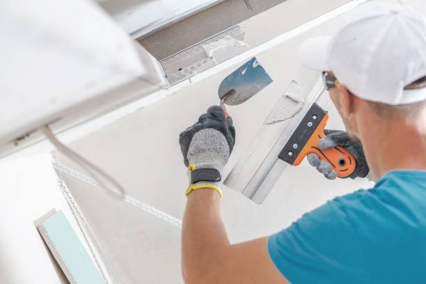 Reliable Franklin Furnace, OH Mold Removal Solutions